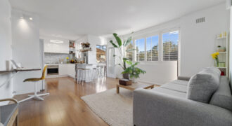 Designed to Live and Entertain, Pet Friendly Apartment