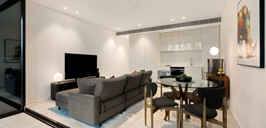 Contemporary and Inviting, Fully Furnished 2 bdr Apartment in Central Park